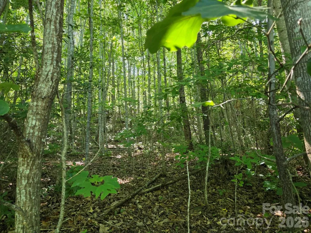 52 Big View Drive Marion, NC 28752