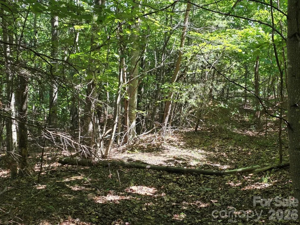 52 Big View Drive Marion, NC 28752