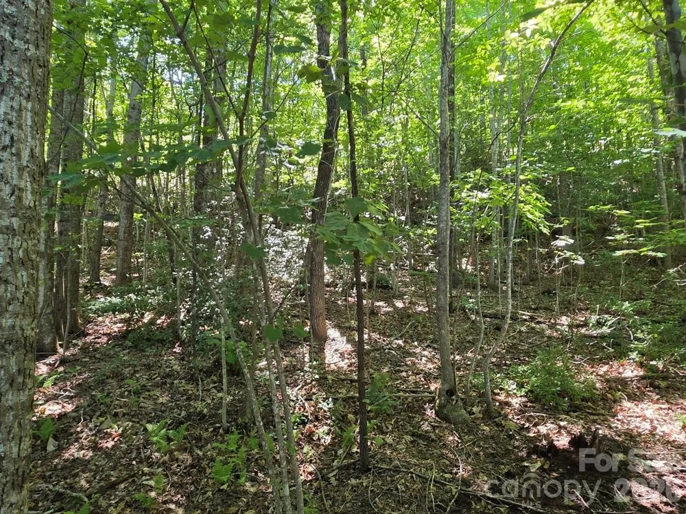 52 Big View Drive Marion, NC 28752
