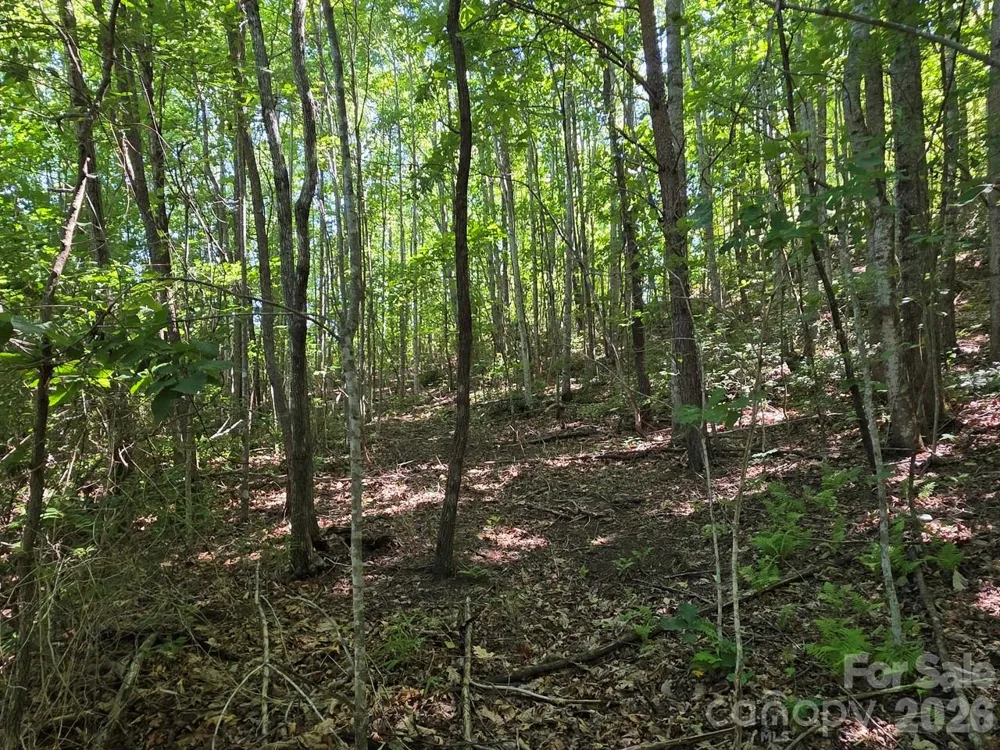 52 Big View Drive Marion, NC 28752
