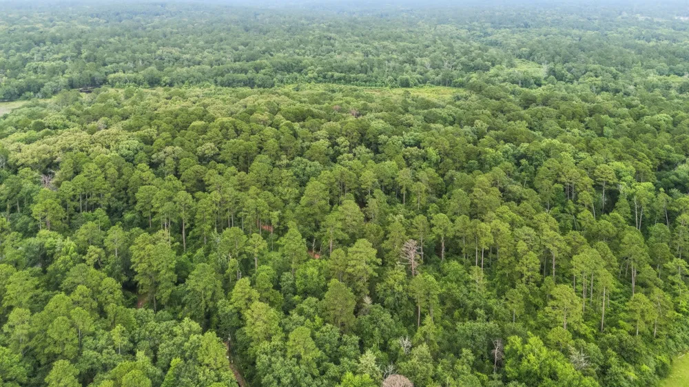 Valleywood Cove Holly Lake Ranch, TX 75765