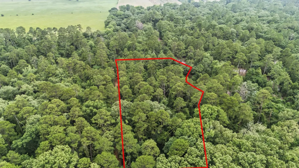 Valleywood Cove Holly Lake Ranch, TX 75765