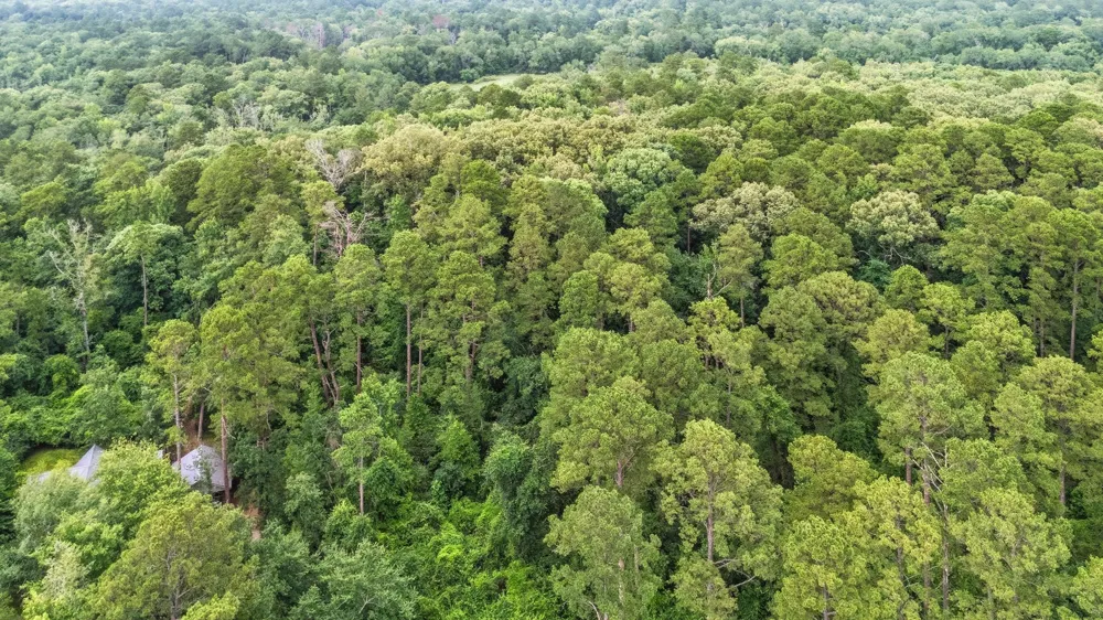 Valleywood Cove Holly Lake Ranch, TX 75765