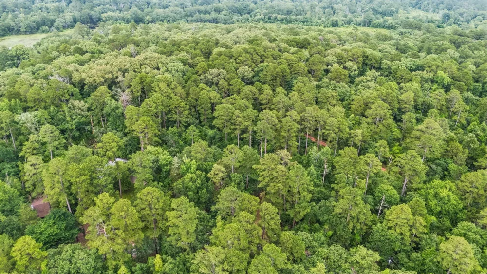 Valleywood Cove Holly Lake Ranch, TX 75765