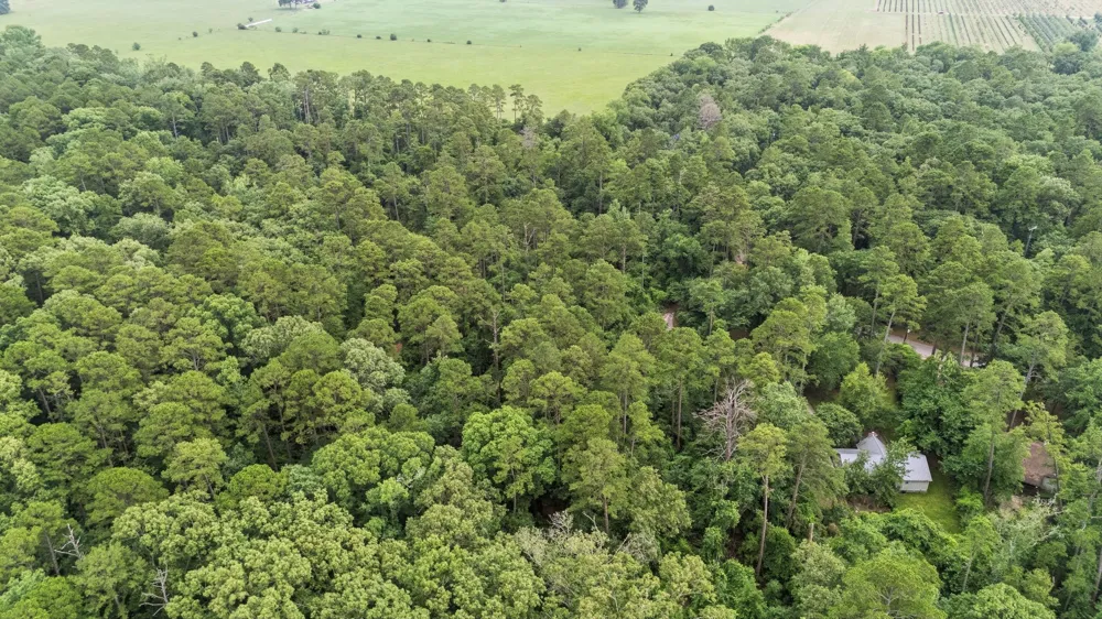 Valleywood Cove Holly Lake Ranch, TX 75765