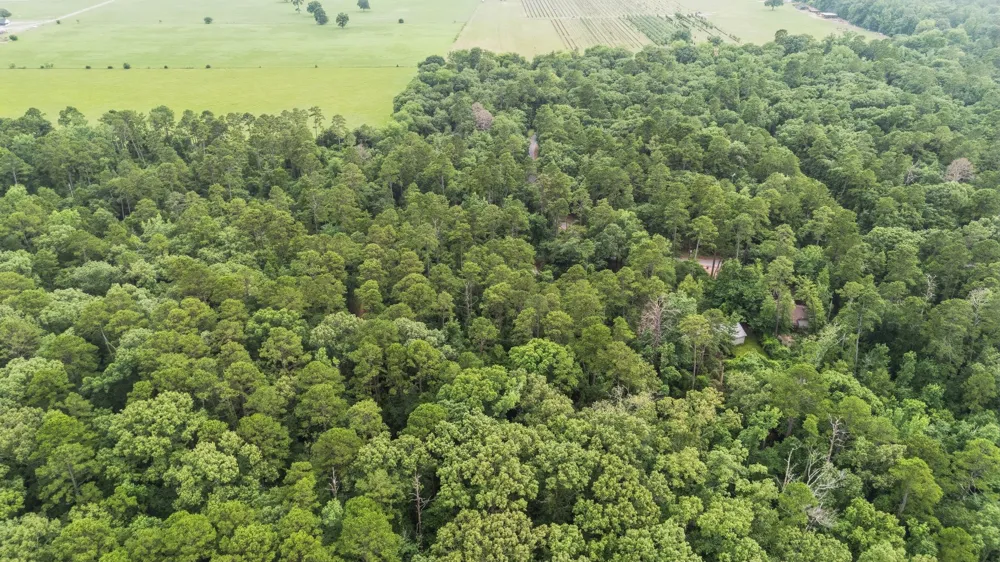 Valleywood Cove Holly Lake Ranch, TX 75765