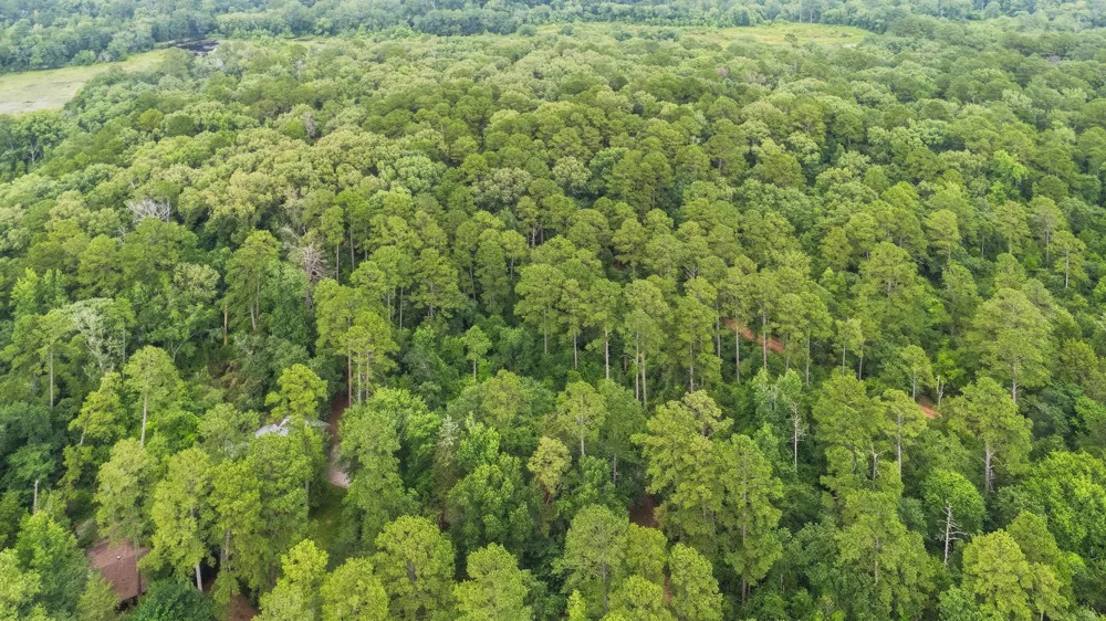Valleywood Cove Holly Lake Ranch, TX 75765