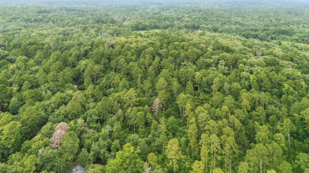 Valleywood Cove Holly Lake Ranch, TX 75765