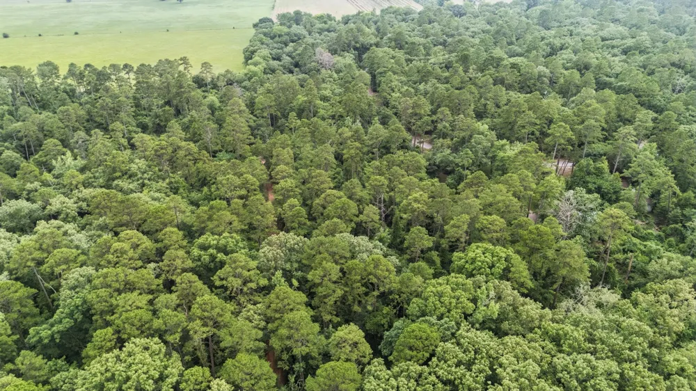Valleywood Cove Holly Lake Ranch, TX 75765