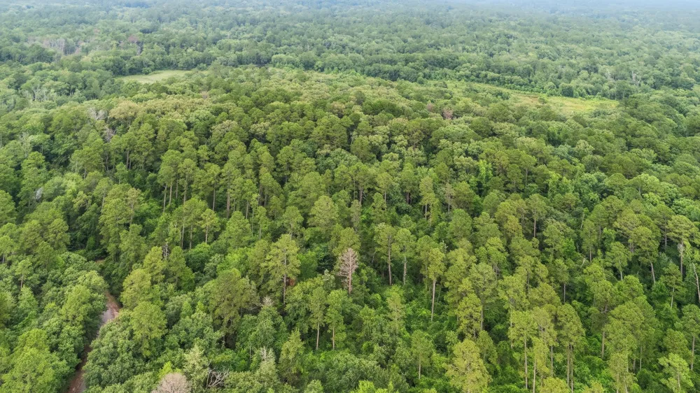 Valleywood Cove Holly Lake Ranch, TX 75765