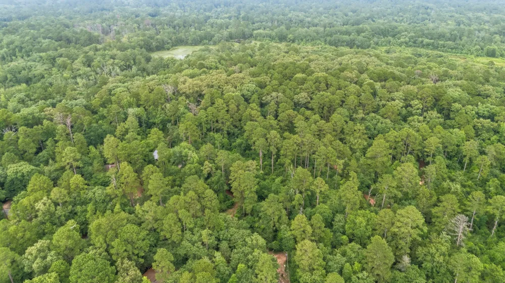 Valleywood Cove Holly Lake Ranch, TX 75765