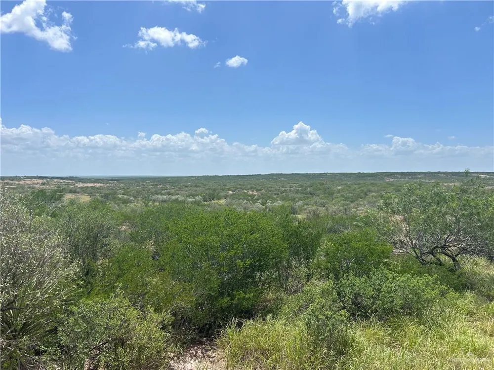TBD Alejandrenas Road Zapata, TX 78076