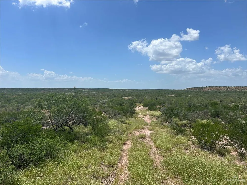 TBD Alejandrenas Road Zapata, TX 78076