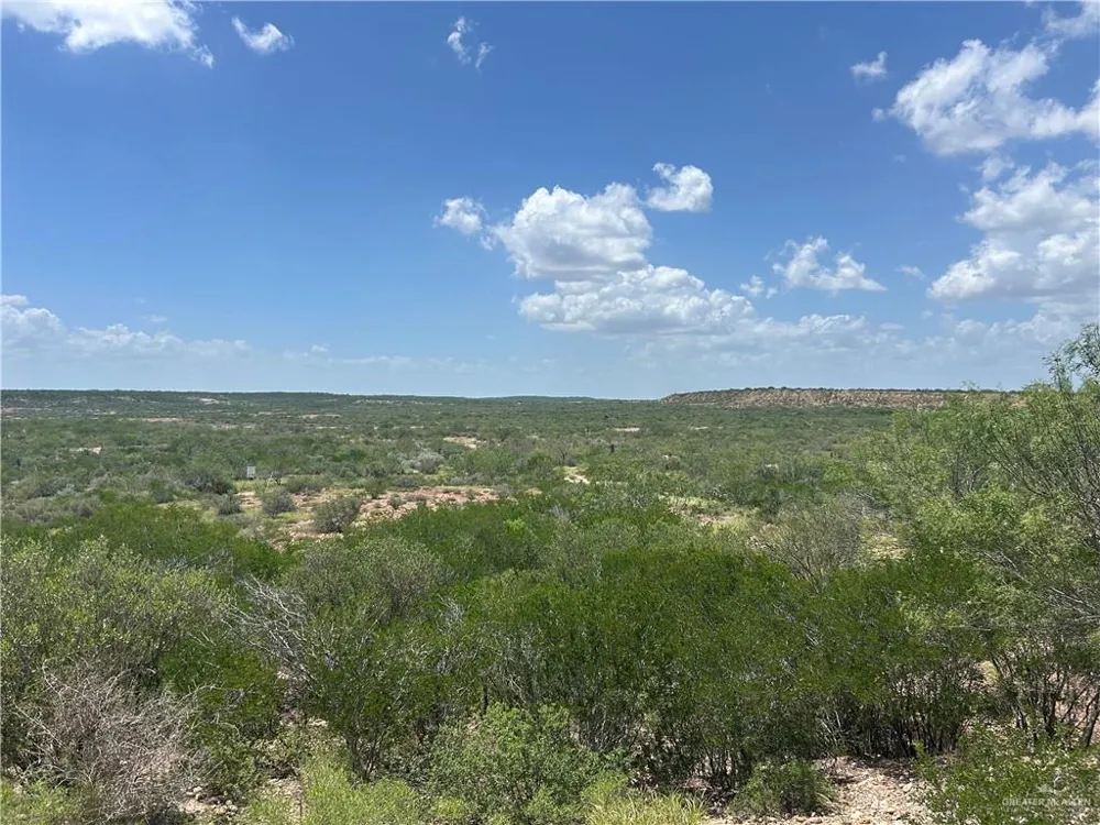 TBD Alejandrenas Road Zapata, TX 78076