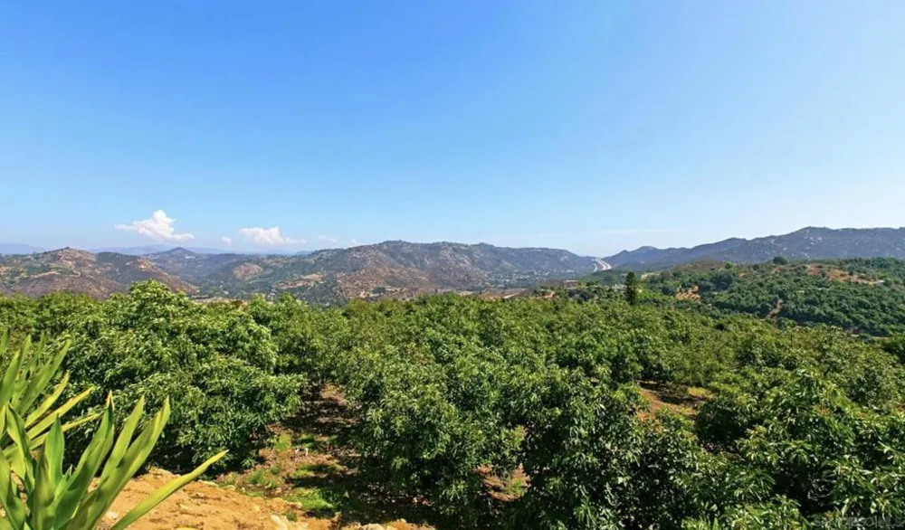 1629 Wild Acres Vista, CA 92084