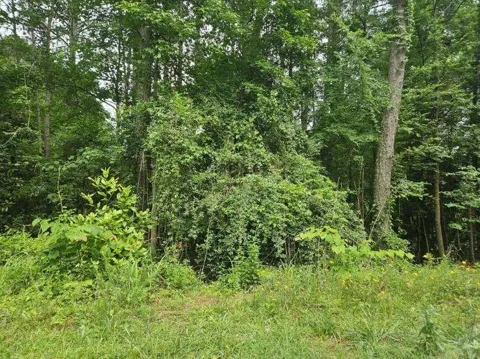 2435 Hi Roc Circle