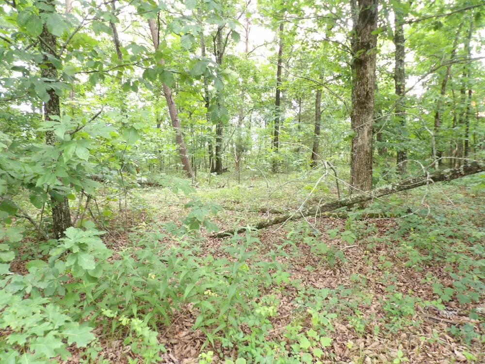 Gray Rock View Pikeville, TN 37367