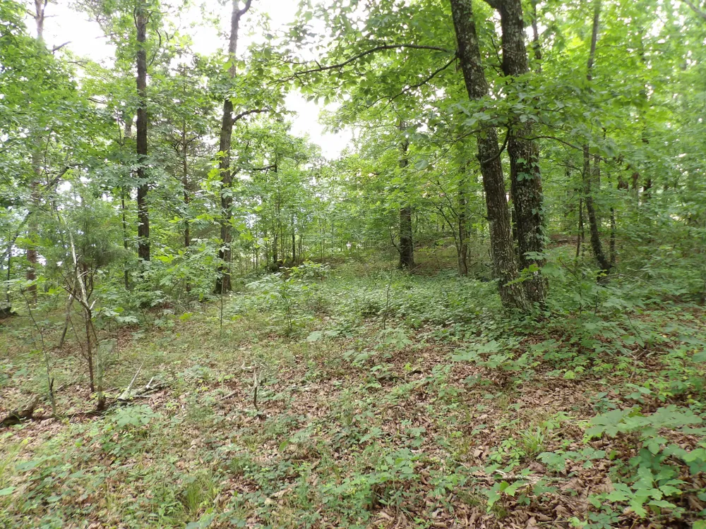 Gray Rock View Pikeville, TN 37367