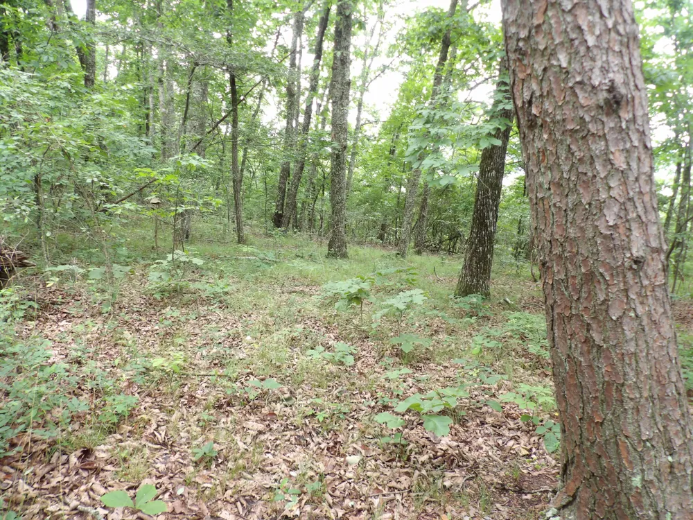 Gray Rock View Pikeville, TN 37367