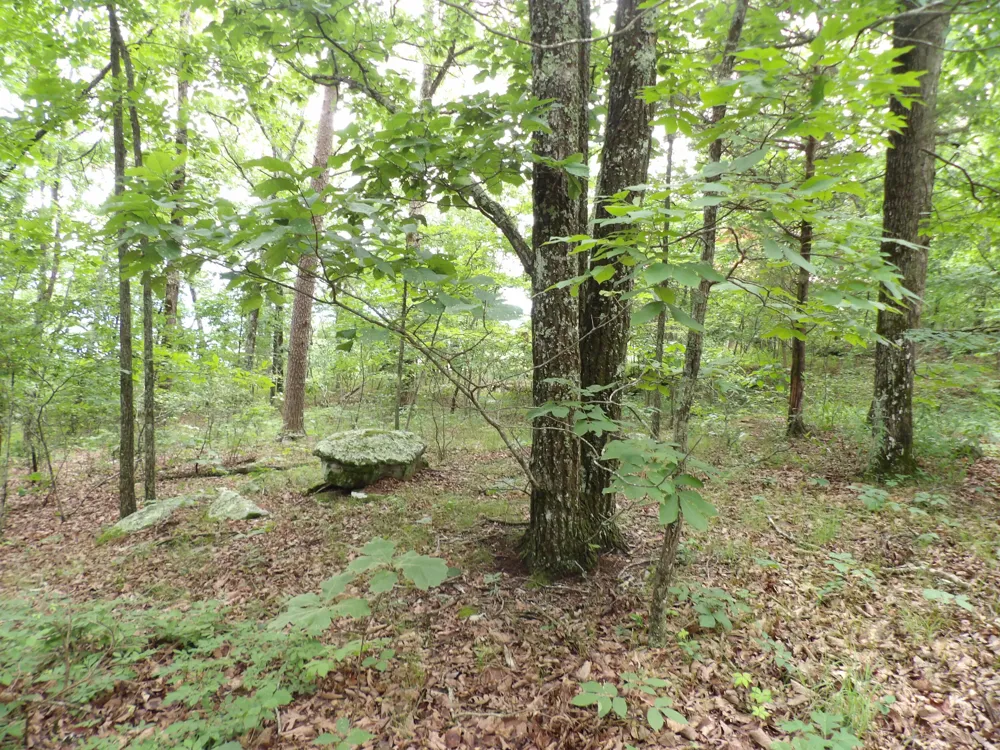 Gray Rock View Pikeville, TN 37367