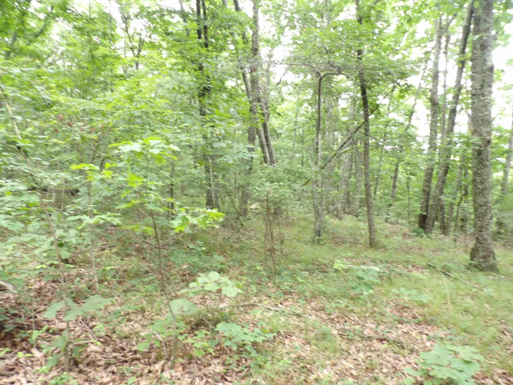 Gray Rock View Pikeville, TN 37367