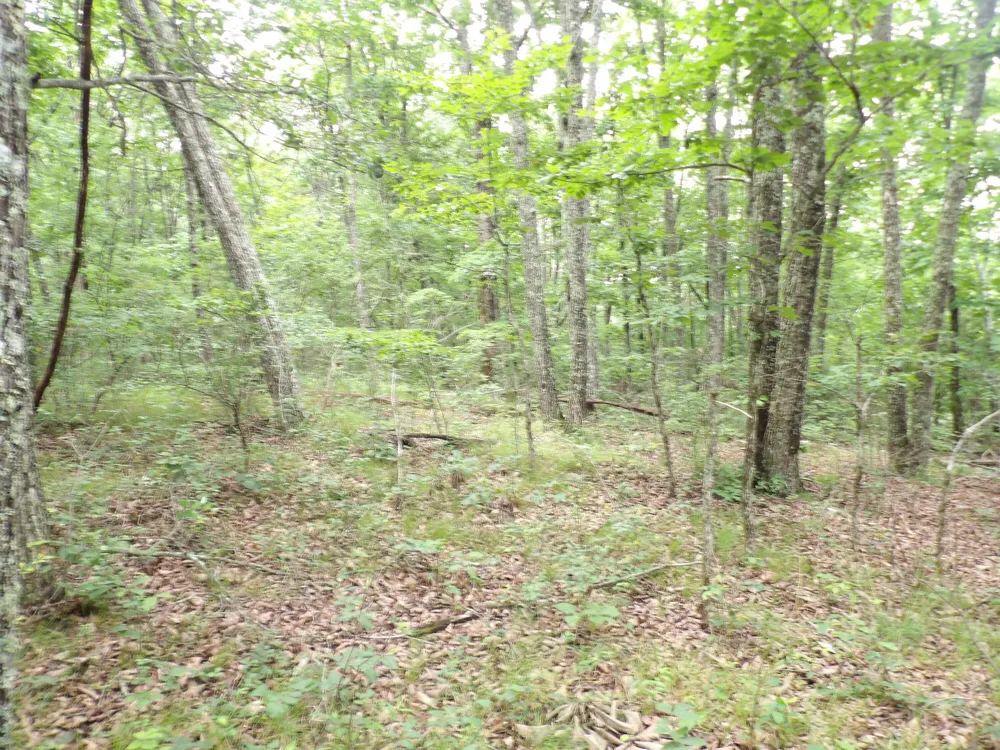 Gray Rock View Pikeville, TN 37367