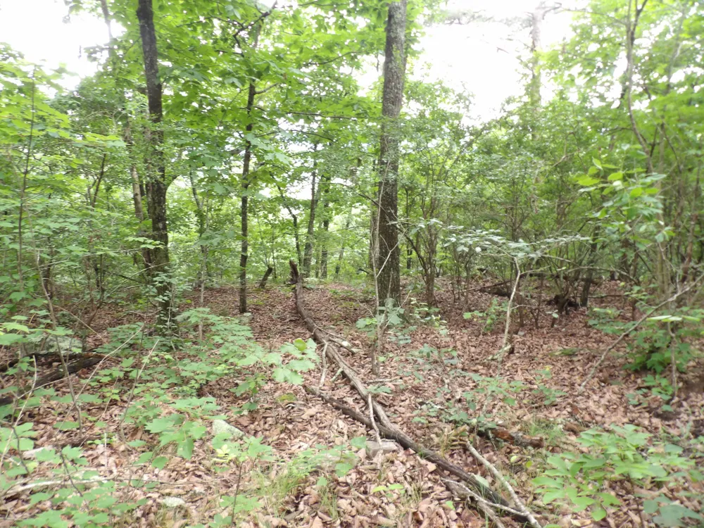 Gray Rock View Pikeville, TN 37367