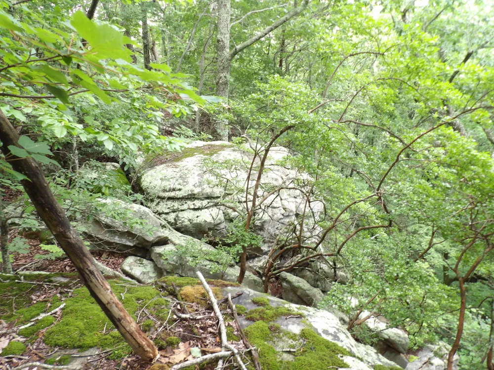 Gray Rock View Pikeville, TN 37367