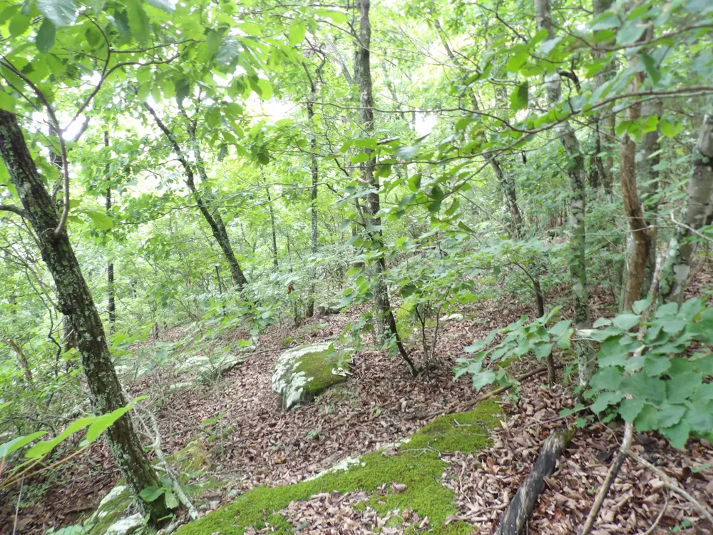 Gray Rock View Pikeville, TN 37367