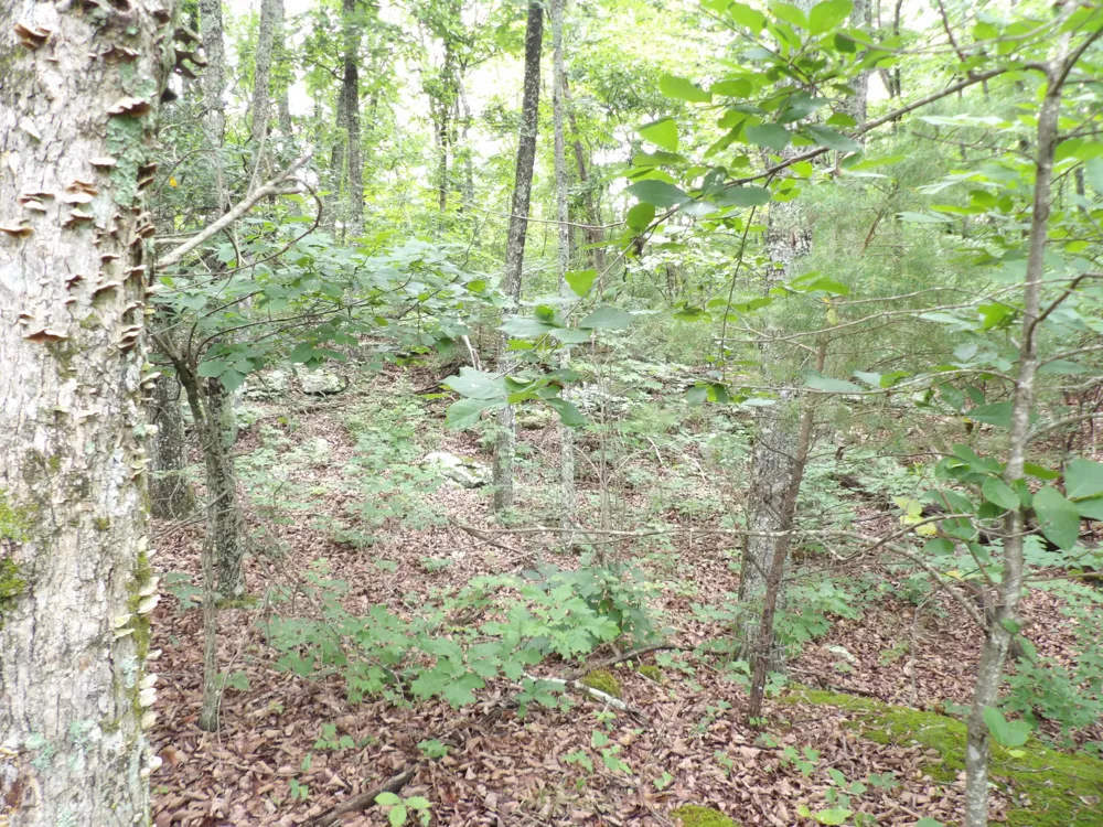 Gray Rock View Pikeville, TN 37367