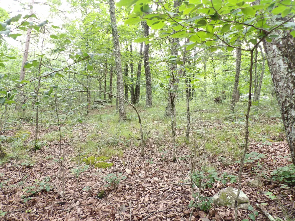 Gray Rock View Pikeville, TN 37367