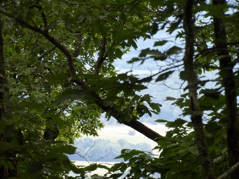 Gray Rock View Pikeville, TN 37367
