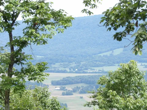 Gray Rock View