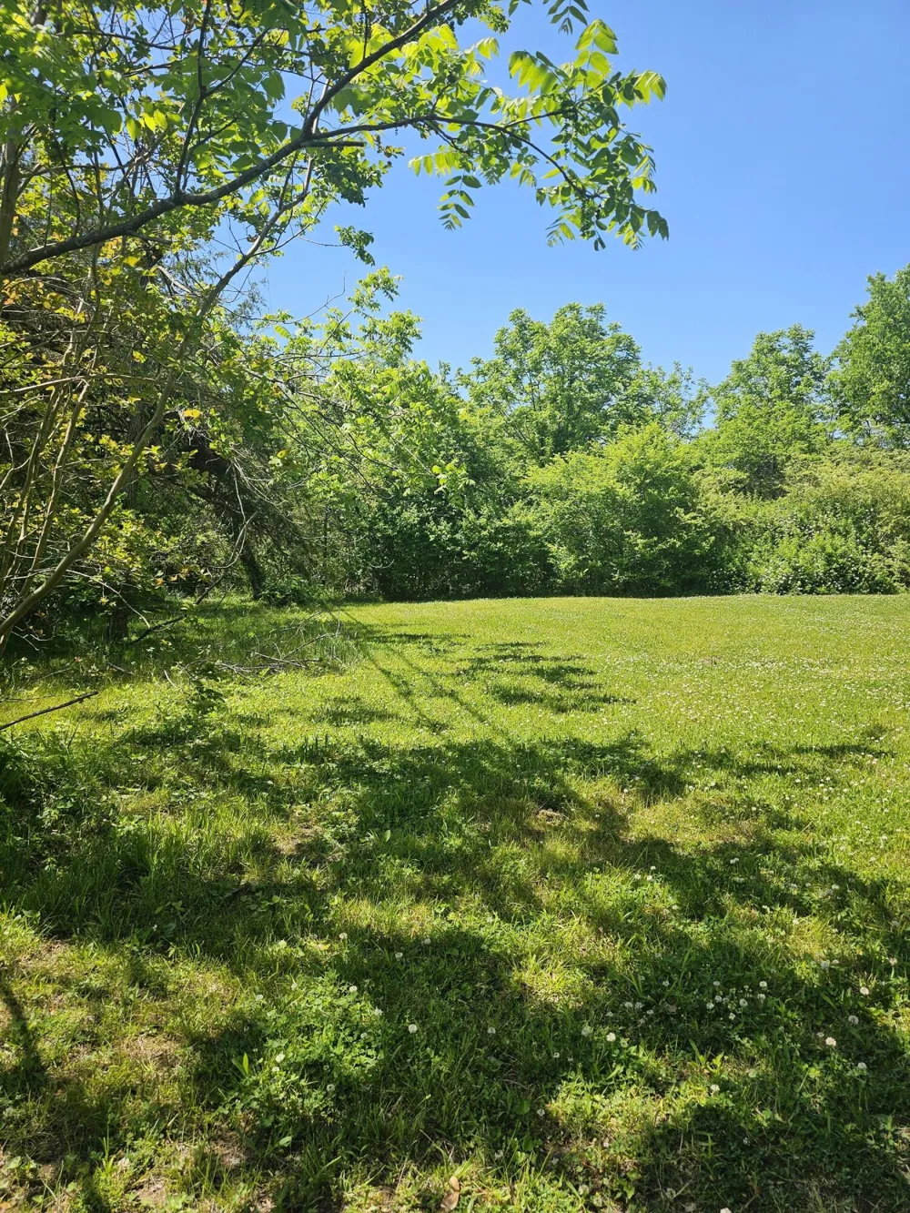 Cottonport Road Dayton, TN 37321