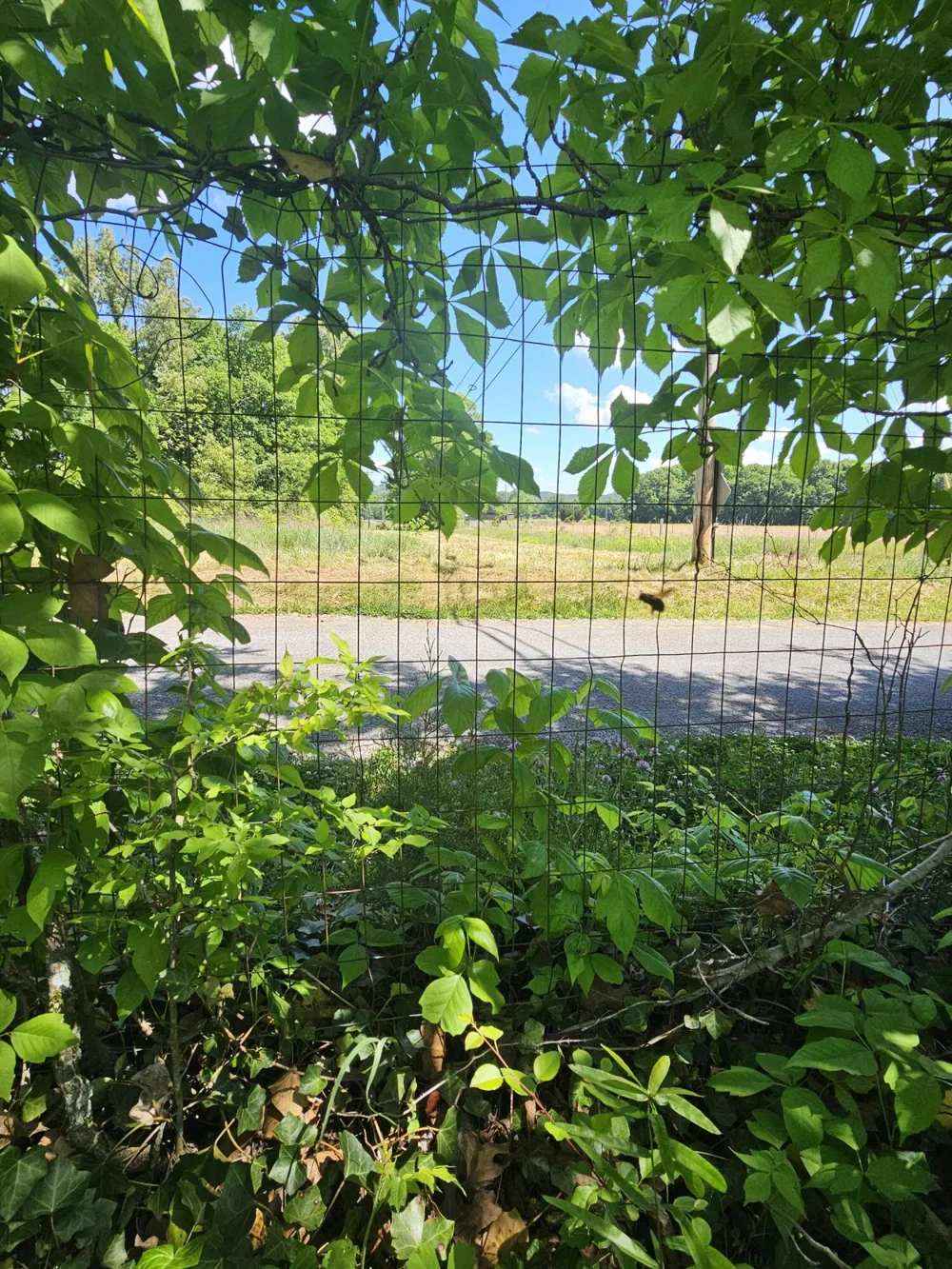 Cottonport Road Dayton, TN 37321