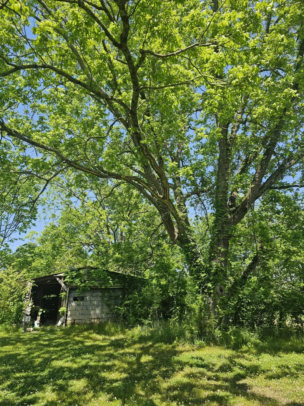 Cottonport Road Dayton, TN 37321