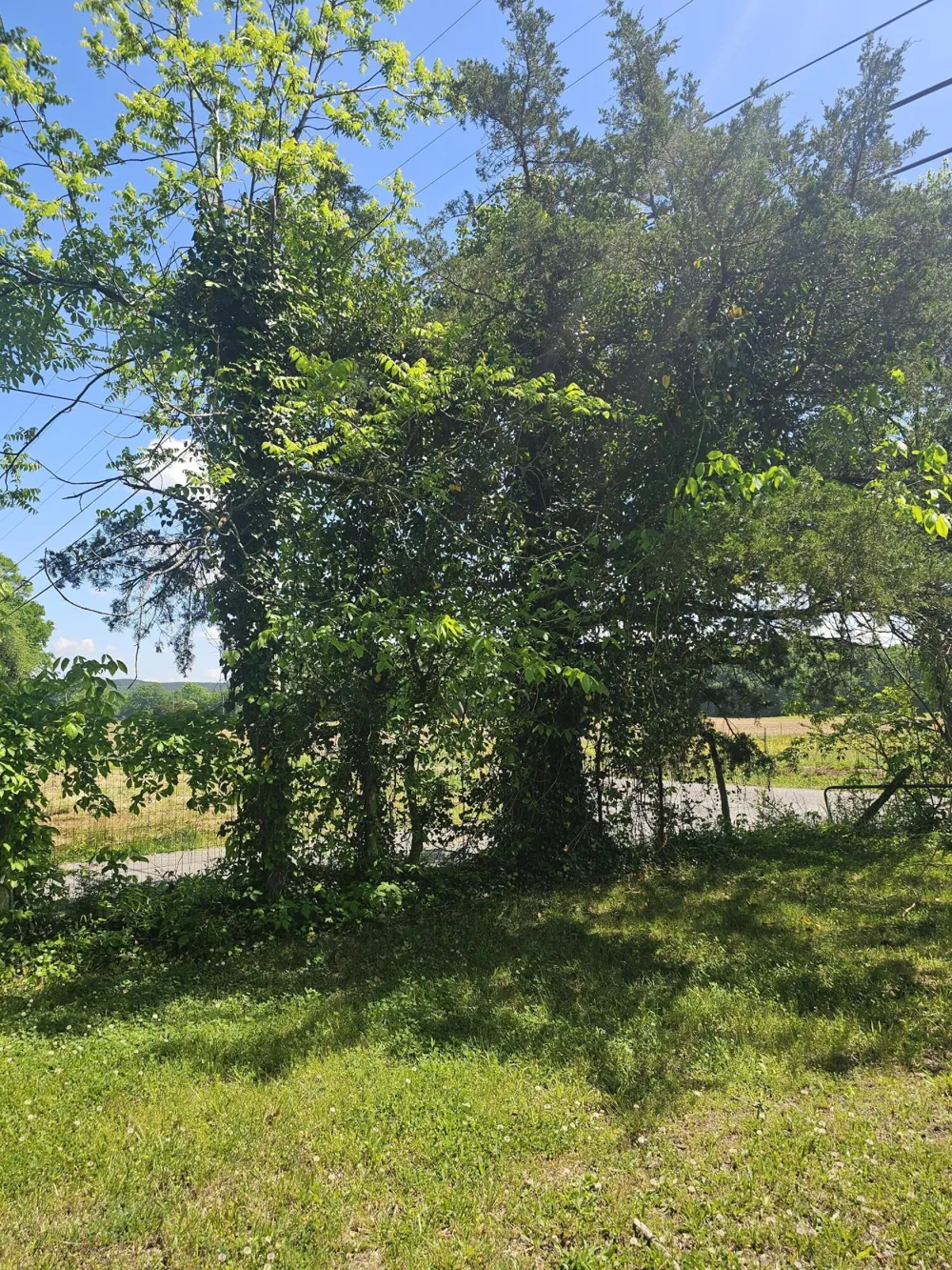 Cottonport Road Dayton, TN 37321