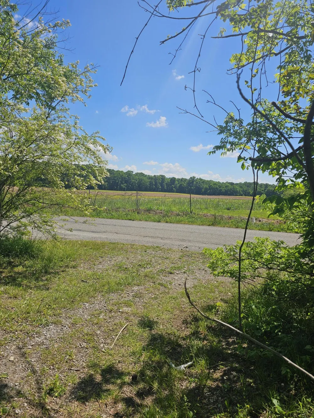 Cottonport Road Dayton, TN 37321