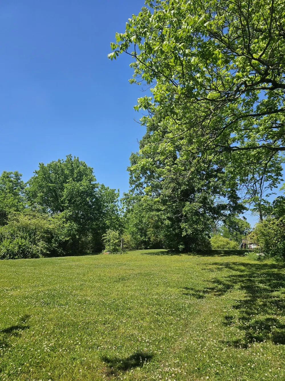 Cottonport Road Dayton, TN 37321