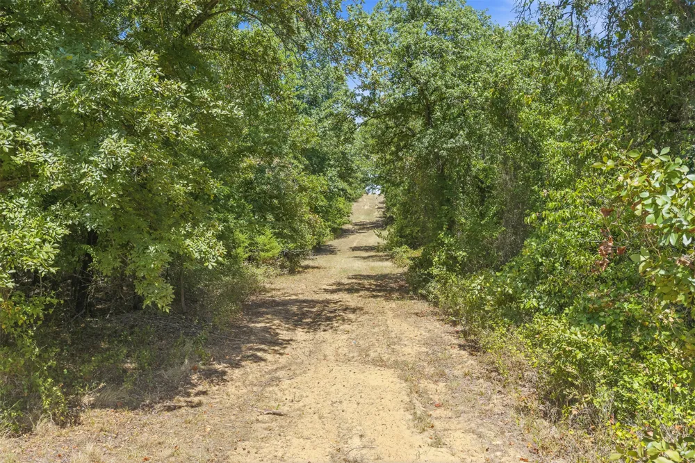 Lincoln Road Burneyville, OK 73430