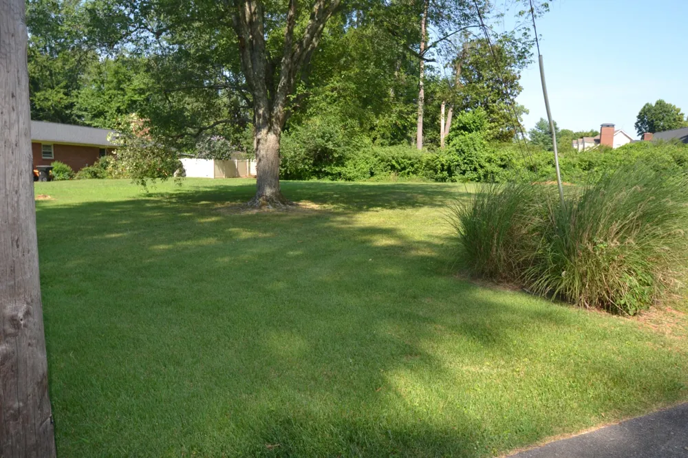 218 Tyne Ave Murfreesboro, TN 37130