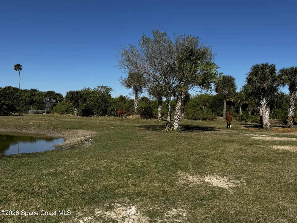 Grantline 10 Acres Road Mims, FL 32754