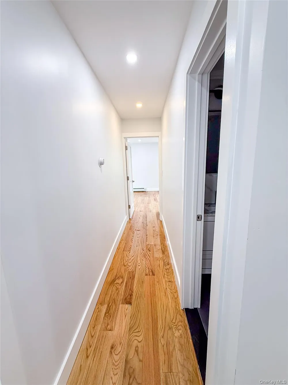 24909 Mayda Road #2 Rosedale, NY 11422