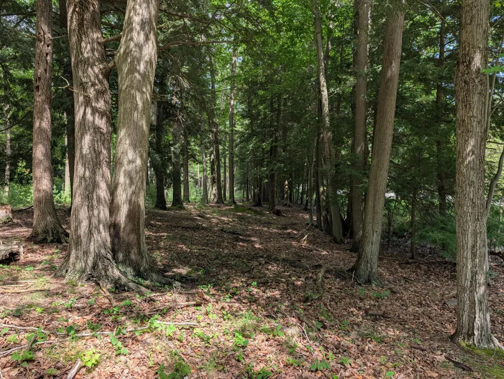 N. Glen Wood Dr. #19 Ludington, MI 49431