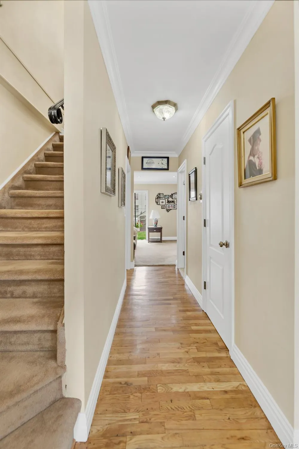 2137 Clinton Avenue Bronx, NY 10457