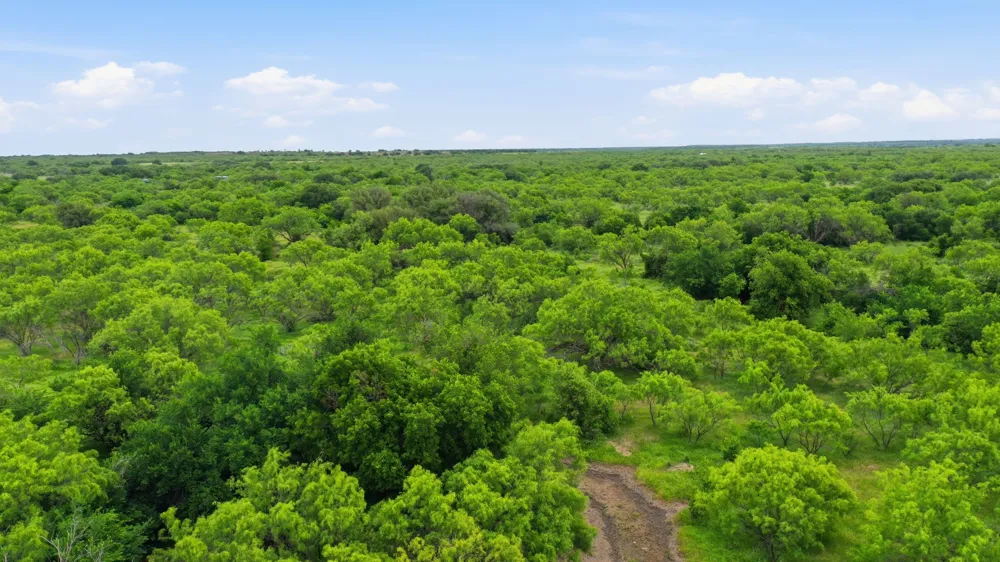 256 FM 880 Moran, TX 76464