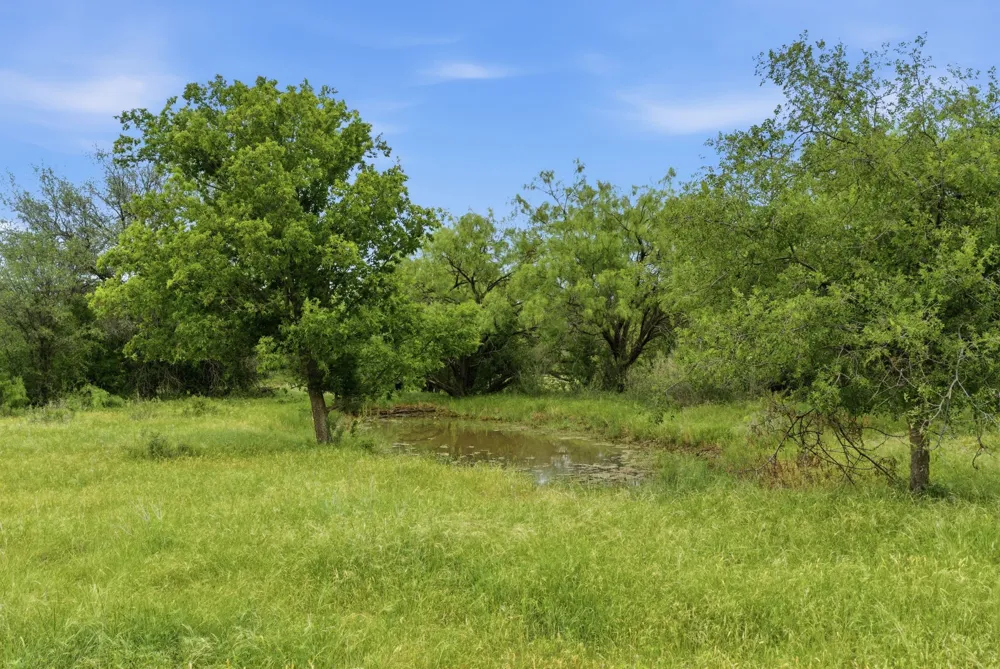 256 FM 880 Moran, TX 76464