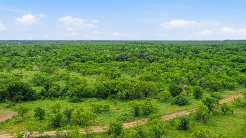 256 FM 880 Moran, TX 76464