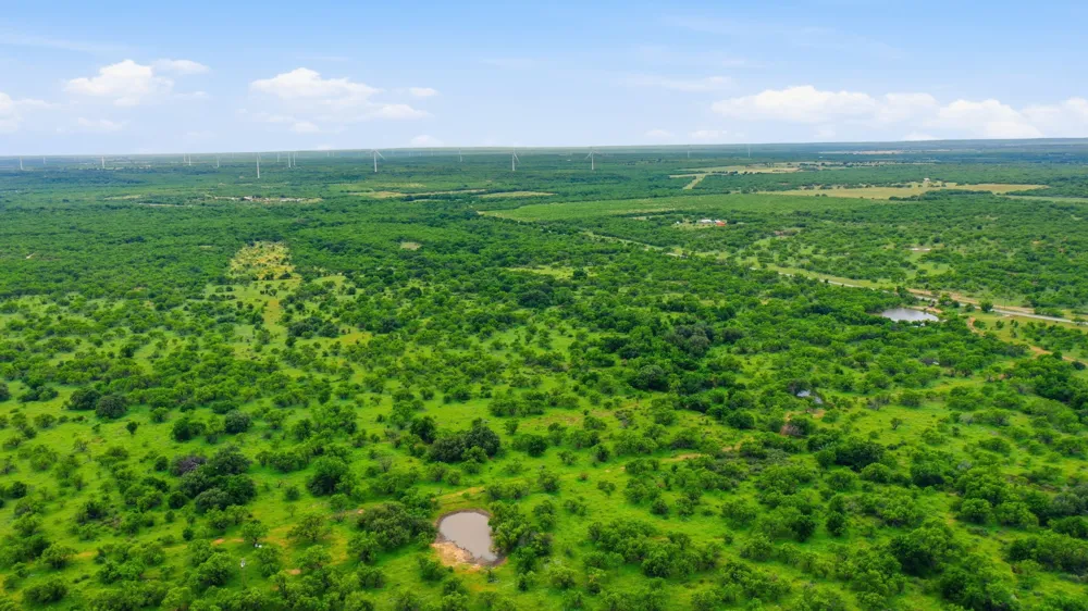 256 FM 880 Moran, TX 76464