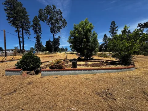992 Maple Park